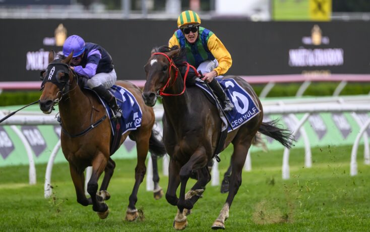 名字和脸 名字和脸