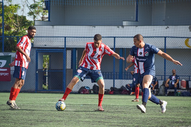 异可以看出 异可以看出